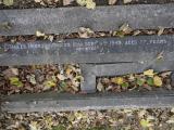 image of grave number 198862